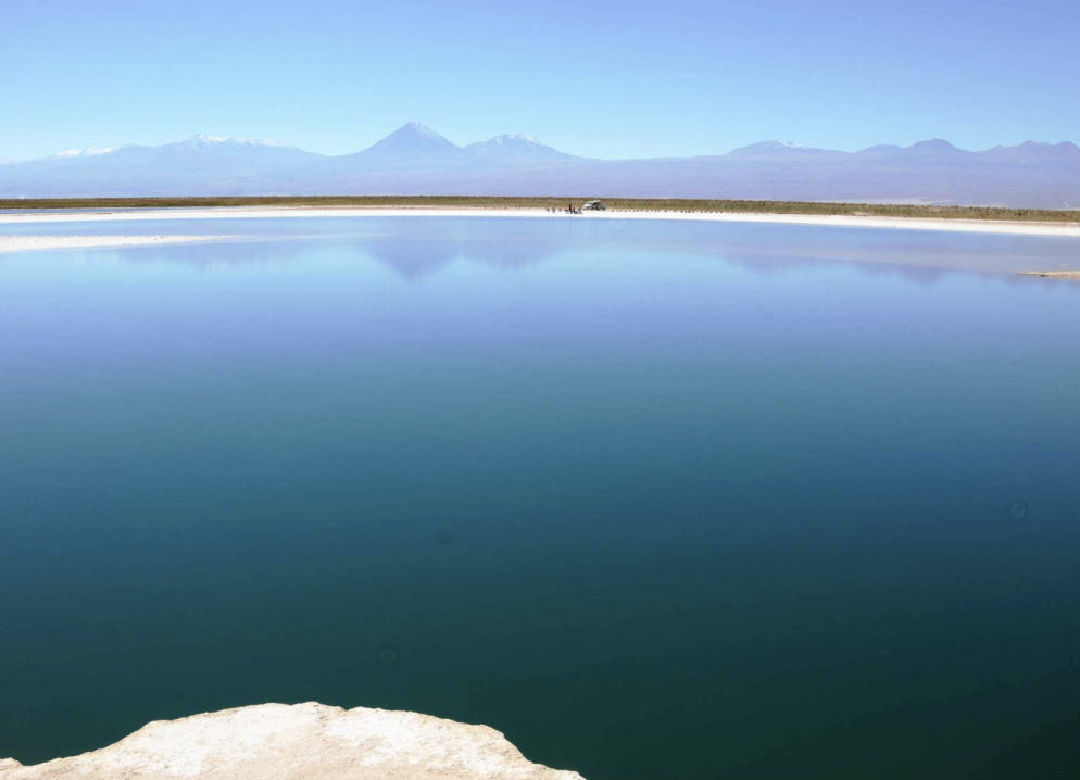 Laguna Cejar y Ojos del Salar 2026